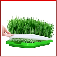 Khay trồng rau mầm chuyên dụng, giá trồng rau mầm tiện lợi, sạch sẽ